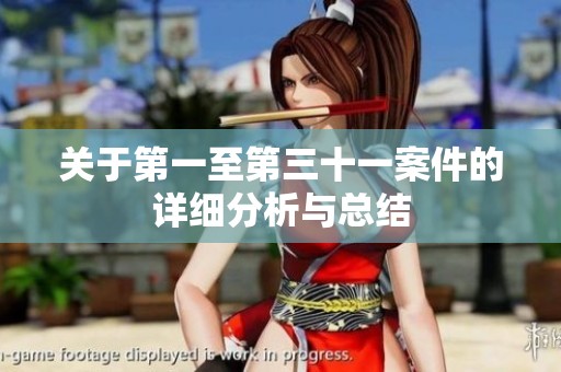 关于第一至第三十一案件的详细分析与总结
