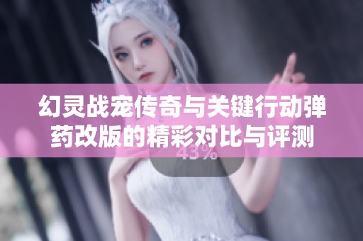 幻灵战宠传奇与关键行动弹药改版的精彩对比与评测