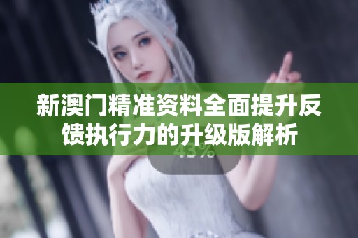 新澳门精准资料全面提升反馈执行力的升级版解析