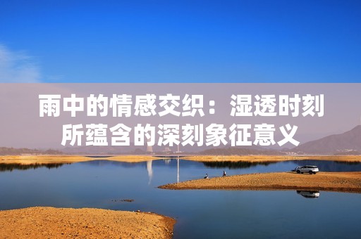 雨中的情感交织：湿透时刻所蕴含的深刻象征意义