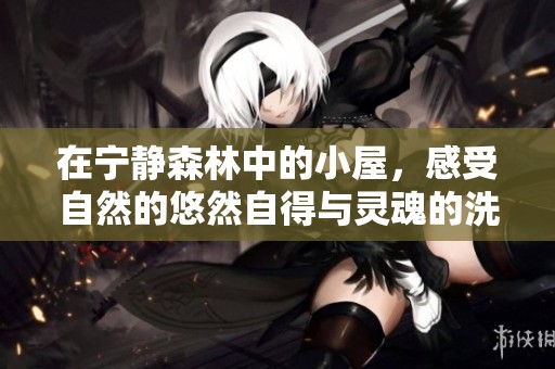 在宁静森林中的小屋，感受自然的悠然自得与灵魂的洗礼