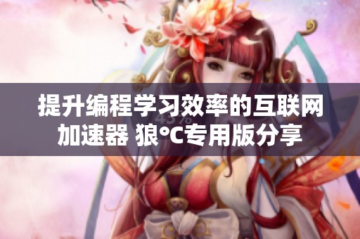 提升编程学习效率的互联网加速器 狼℃专用版分享
