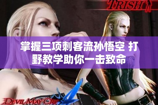 掌握三项刺客流孙悟空 打野教学助你一击致命