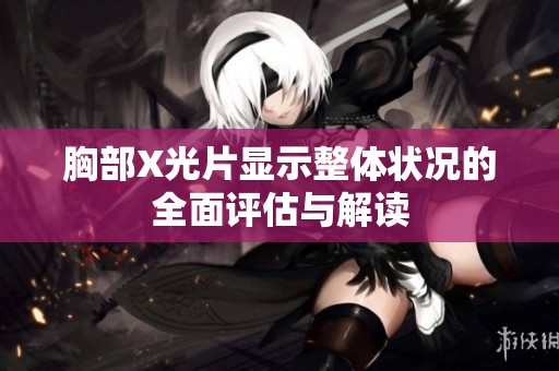 胸部X光片显示整体状况的全面评估与解读