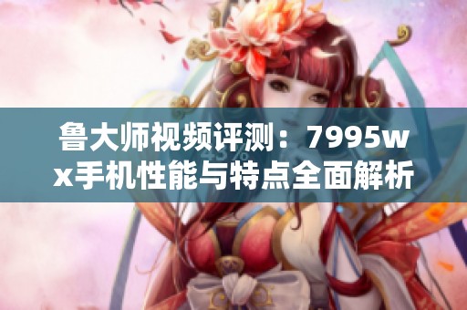鲁大师视频评测：7995wx手机性能与特点全面解析
