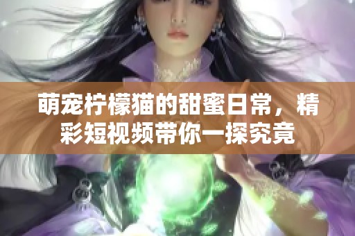 萌宠柠檬猫的甜蜜日常，精彩短视频带你一探究竟
