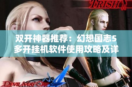 双开神器推荐：幻想国志5多开挂机软件使用攻略及详细教程