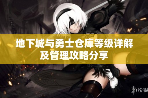 地下城与勇士仓库等级详解及管理攻略分享