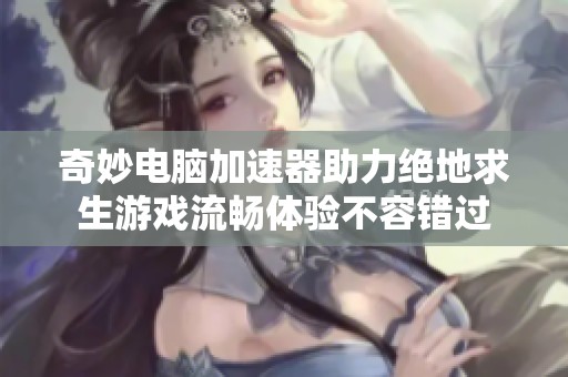 奇妙电脑加速器助力绝地求生游戏流畅体验不容错过