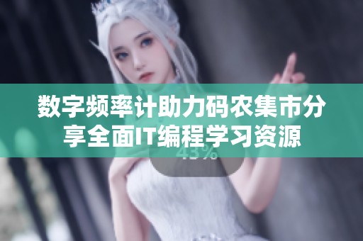 数字频率计助力码农集市分享全面IT编程学习资源