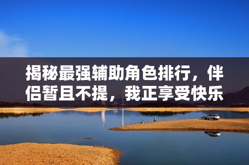揭秘最强辅助角色排行，伴侣暂且不提，我正享受快乐时光