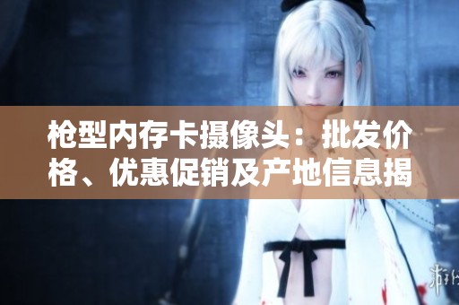 枪型内存卡摄像头：批发价格、优惠促销及产地信息揭秘