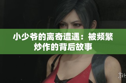 小少爷的离奇遭遇：被频繁炒作的背后故事