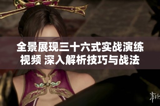 全景展现三十六式实战演练视频 深入解析技巧与战法