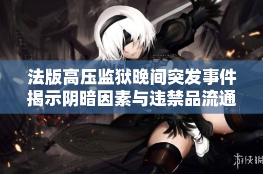 法版高压监狱晚间突发事件揭示阴暗因素与违禁品流通