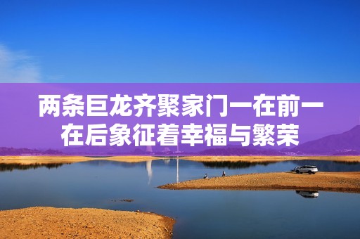 两条巨龙齐聚家门一在前一在后象征着幸福与繁荣