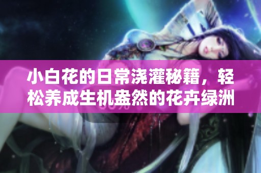 小白花的日常浇灌秘籍，轻松养成生机盎然的花卉绿洲