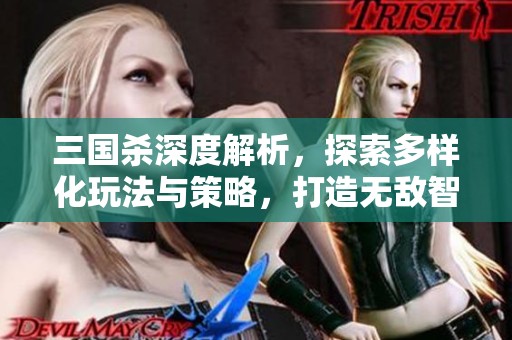 三国杀深度解析，探索多样化玩法与策略，打造无敌智慧之战攻略