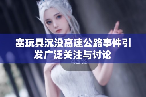 塞玩具沉没高速公路事件引发广泛关注与讨论