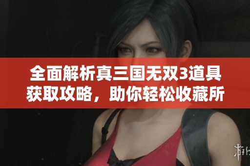 全面解析真三国无双3道具获取攻略，助你轻松收藏所有装备与物品