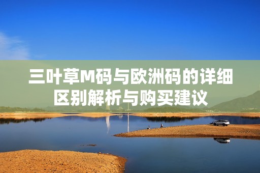 三叶草M码与欧洲码的详细区别解析与购买建议
