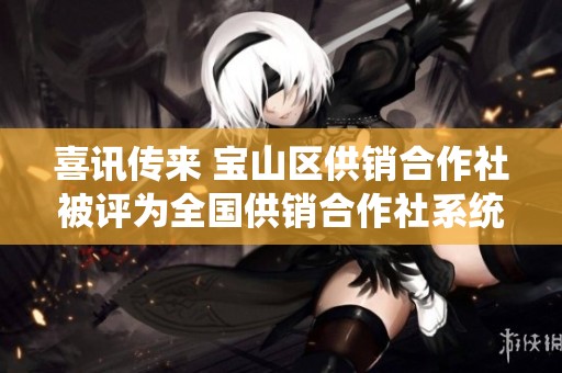 喜讯传来 宝山区供销合作社被评为全国供销合作社系统优秀集体荣誉称号