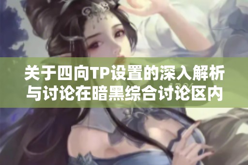 关于四向TP设置的深入解析与讨论在暗黑综合讨论区内的心得分享