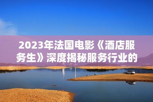 2023年法国电影《酒店服务生》深度揭秘服务行业的背后故事