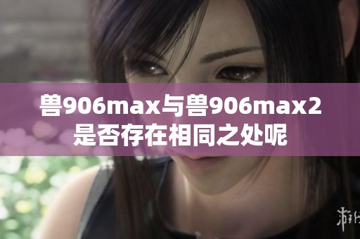 兽906max与兽906max2是否存在相同之处呢