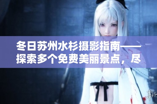 冬日苏州水杉摄影指南——探索多个免费美丽景点，尽享自然之美