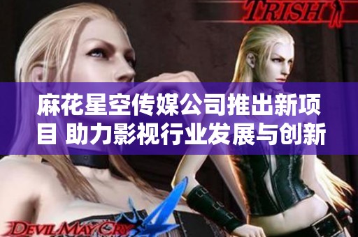 麻花星空传媒公司推出新项目 助力影视行业发展与创新