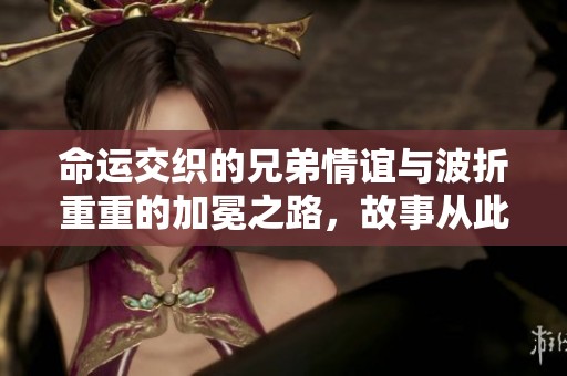 命运交织的兄弟情谊与波折重重的加冕之路，故事从此揭幕展开