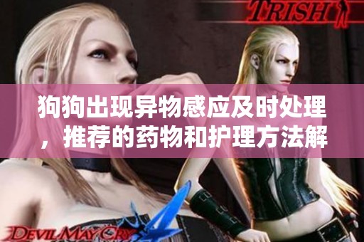 狗狗出现异物感应及时处理，推荐的药物和护理方法解析