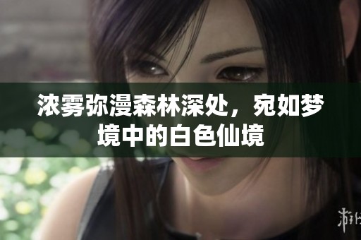 浓雾弥漫森林深处，宛如梦境中的白色仙境