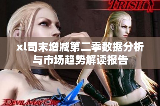 xl司末增减第二季数据分析与市场趋势解读报告