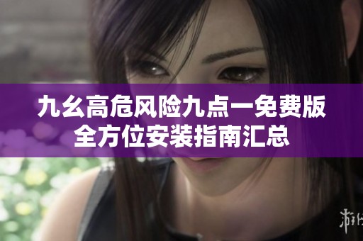 九幺高危风险九点一免费版全方位安装指南汇总