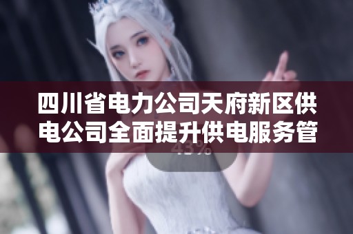 四川省电力公司天府新区供电公司全面提升供电服务管理能力与水平