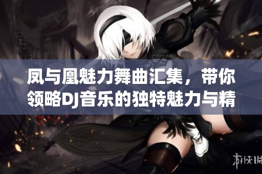 凤与凰魅力舞曲汇集，带你领略DJ音乐的独特魅力与精彩旋律