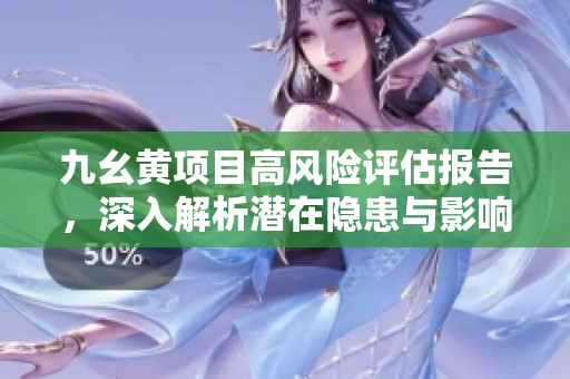 九幺黄项目高风险评估报告，深入解析潜在隐患与影响因素