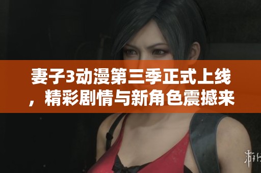 妻子3动漫第三季正式上线，精彩剧情与新角色震撼来袭