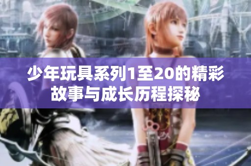 少年玩具系列1至20的精彩故事与成长历程探秘