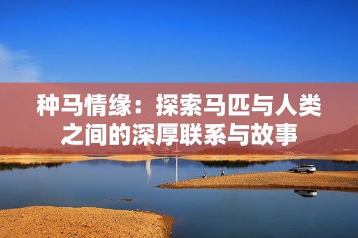 种马情缘：探索马匹与人类之间的深厚联系与故事