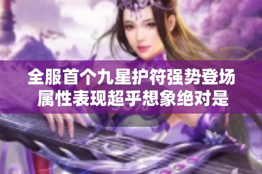 全服首个九星护符强势登场 属性表现超乎想象绝对是自己研发的吧