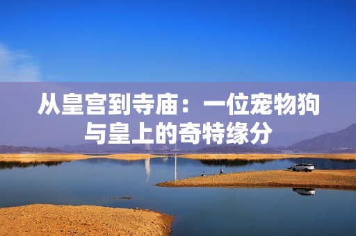 从皇宫到寺庙：一位宠物狗与皇上的奇特缘分