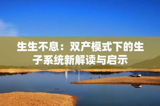 生生不息：双产模式下的生子系统新解读与启示