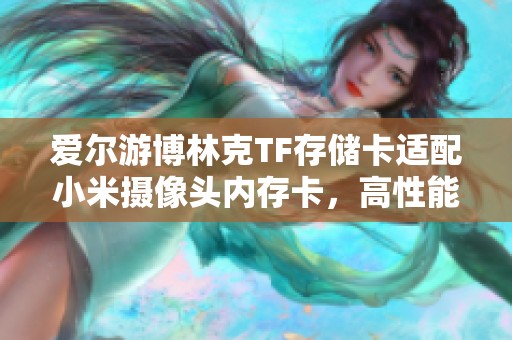 爱尔游博林克TF存储卡适配小米摄像头内存卡，高性能超大容量选择