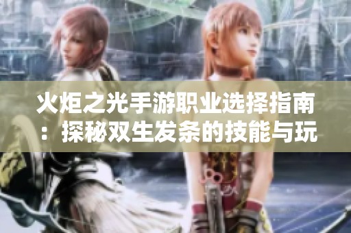 火炬之光手游职业选择指南：探秘双生发条的技能与玩法解析