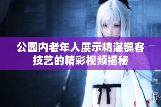 公园内老年人展示精湛镖客技艺的精彩视频揭秘