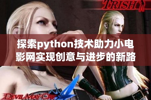 探索python技术助力小电影网实现创意与进步的新路径