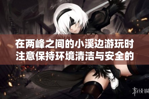 在两峰之间的小溪边游玩时注意保持环境清洁与安全的关键事项
